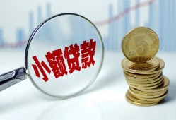 东莞上门正规短借-东莞上门民间借贷无视黑白-东莞上门身份证办理贷款