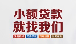 东莞上门小额短借-东莞上门私人借贷平台-东莞上门个人借钱
