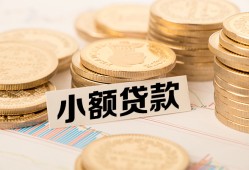东莞上门哪里有小额贷款-东莞上门身份证贷款平台-东莞上门民间短借