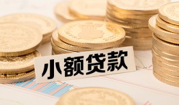 东莞上门哪里有小额贷款-东莞上门身份证贷款平台-东莞上门民间短借